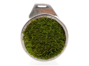 Moss ring